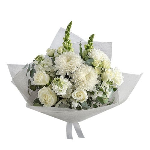 Aurelia flowers