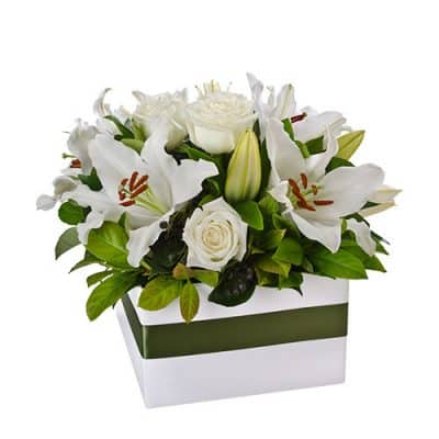 Harmony White Box