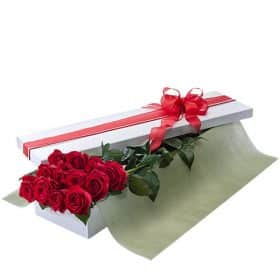red roses