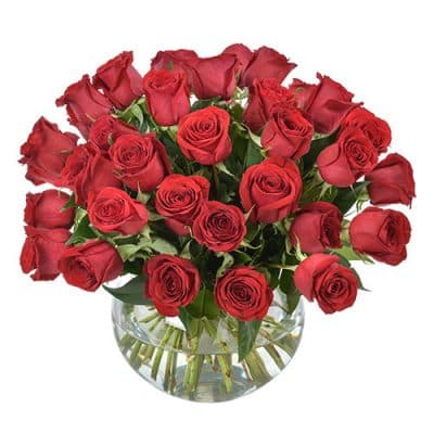 Temptation Red Roses