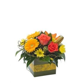 Whimsy Bright Box
