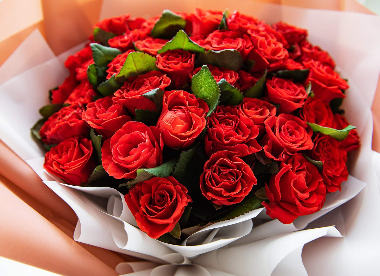 Beautiful bouquet of red roses bouquet of red roses