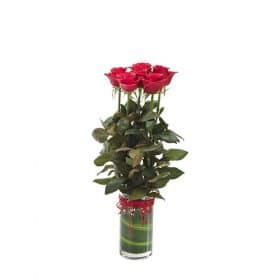 Half Dozen Roses Vase